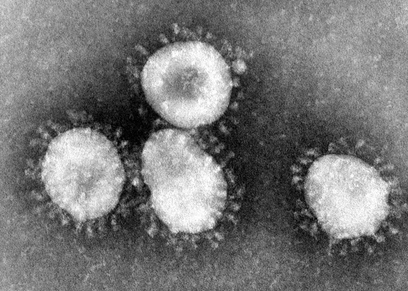 Laatste ontwikkelingen coronavirus