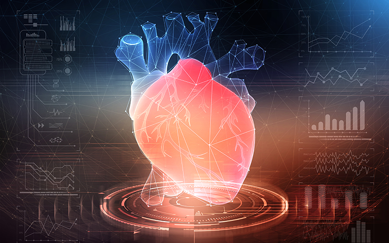 Betere behandeling hartritmestoornissen dankzij een hart-op-een-chip