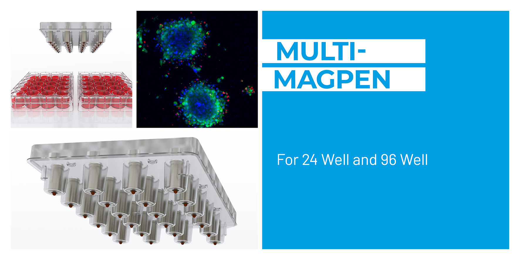 Multi-MagPen magnetic 3D cell culture transfer