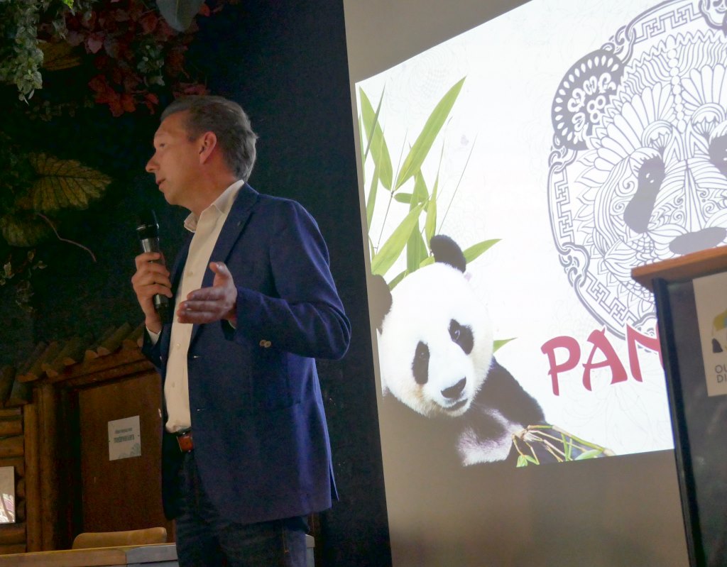 Hoe twee panda's Ouwehands Dierenpark weer op de kaart zetten