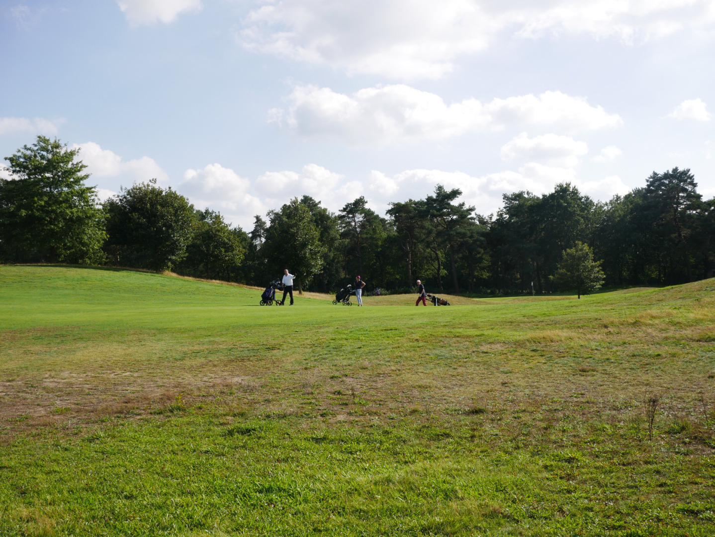 Fhi Golftournament Fhi Federatie Van Technologiebranches
