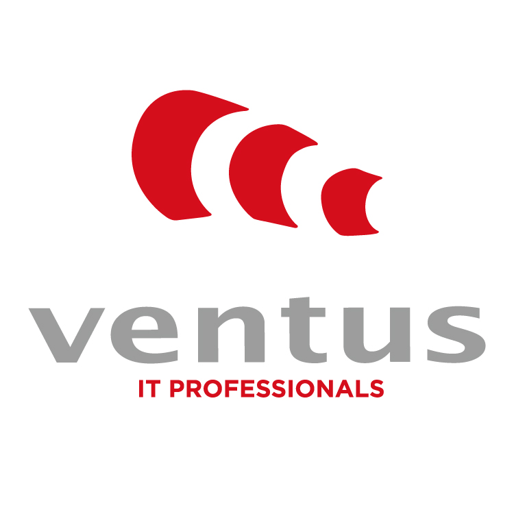 Ventus IT Professionals
