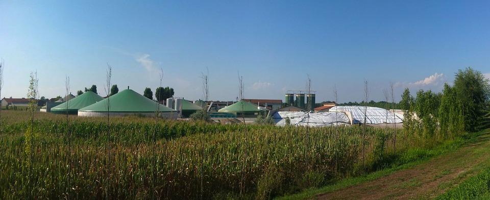 Biogas biologisch ontzwavelen