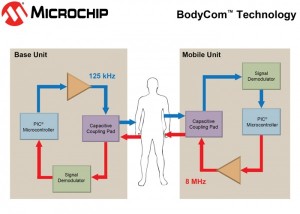 Microchip1